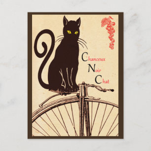 Französische Katzenpostkarte Postkarte