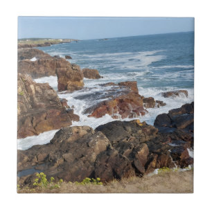 Französische Küste in der Vendée Fliese