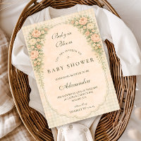 Französische Landrosen-Bogen-Baby-Party