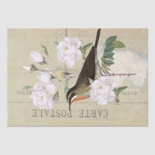 Französische Postkarte mit Vogel und weißen Rosen Seidenpapier