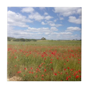 Französische Rote Pflaumen und Blauer Himmel Fliese