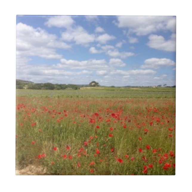 Französische Rote Pflaumen und Blauer Himmel Fliese (Vorderseite)