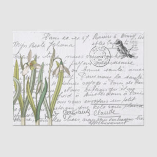 Französische Schrift Vintage Schneeglöckchen Vogel Seidenpapier