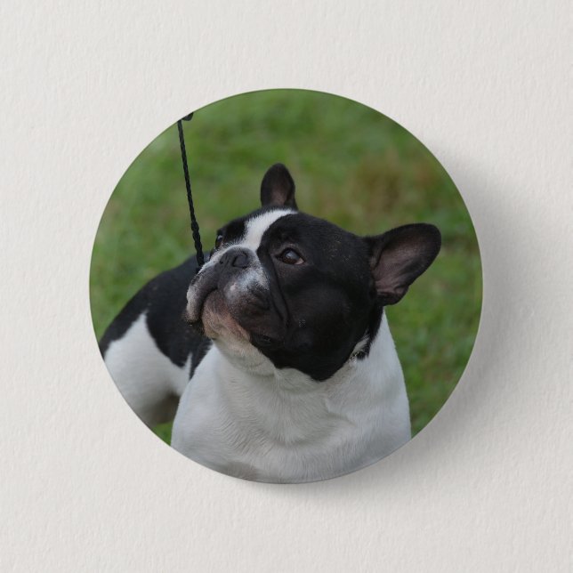 Französische Schwarzweiss-Bulldogge Button (Vorderseite)