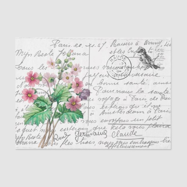 Französische Script Vintag Primrose Bird Postcard Seidenpapier (Vorderseite)