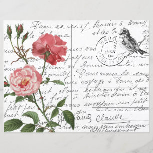 Französische Script Vintage Rose Bird Postcard