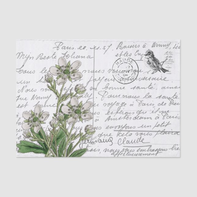 Französische Script Vintage White Blume Bird Postc Seidenpapier (Vorderseite)