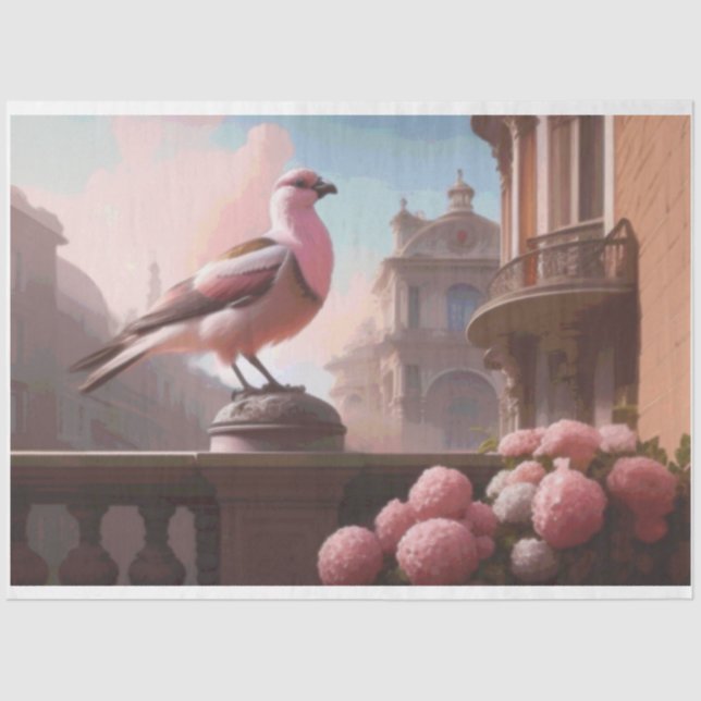 Französische Vogelnelken Seidenpapier (Vorderseite)