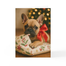Französische Weihnachtskarte – Welpe auf Kissen