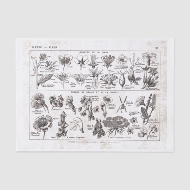 Französische Wörterbuch-Platte Seidenpapier (Vorderseite)