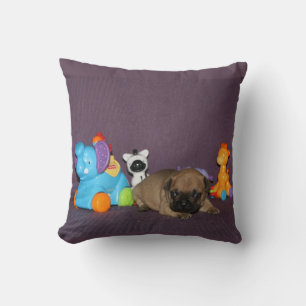 Französischen Bulldoggen kleiner Welpe Bulldog Kissen