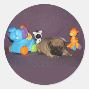 Französischen Bulldoggen kleiner Welpe Bulldog Runder Aufkleber