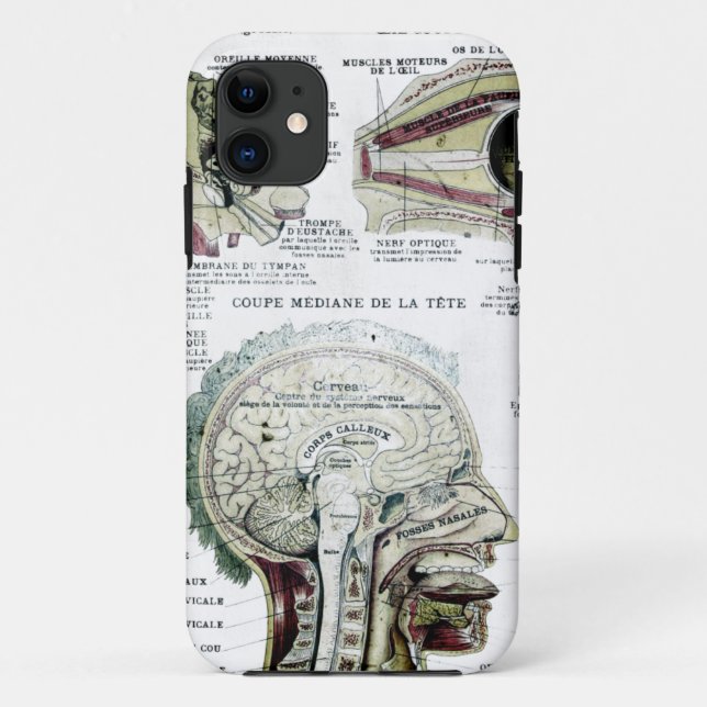 Französischer Anatomie-Case-Mate-Fall Case-Mate iPhone Hülle (Rückseite)
