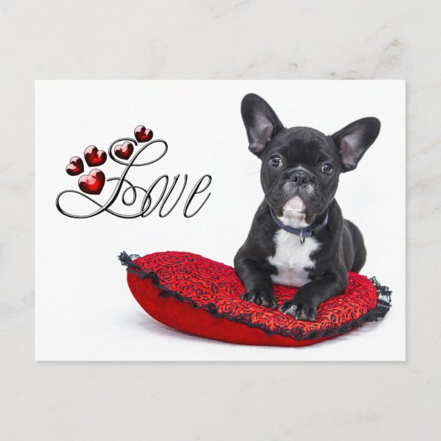 Französischer Bull Dog - Französische Liebe Postkarte (Vorderseite)