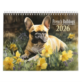 Französischer Bulldog 2026 Kalender