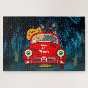 Französischer Bulldog Autofahrer Beängstigend Hall