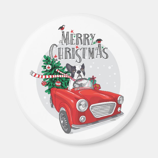 Französischer Bulldog Autofahrer Vintage Car Magnet (Vorne)