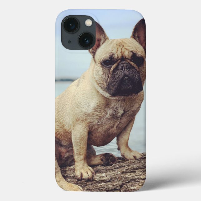 Französischer Bulldog Case-Mate iPhone Hülle (Rückseite)