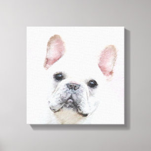 Französischer Bulldog (Cream/White) Malerei - Hun Leinwanddruck