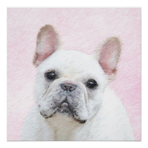 Französischer Bulldog (Cream/White) Malerei - Hund Poster