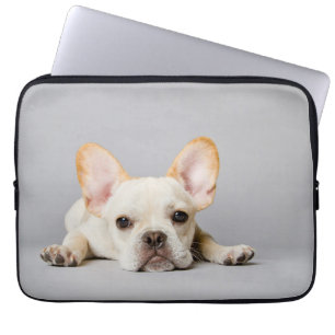 Französischer Bulldog fliegt ab Laptopschutzhülle