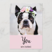 *~* Französischer Bulldog Frenchie Event Niedlich