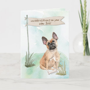 Französischer Bulldog Herzlichen Glückwunsch zum n Karte