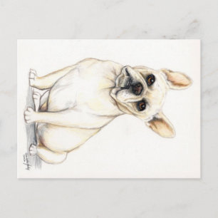 Französischer Bulldog Hund Art Postkarte
