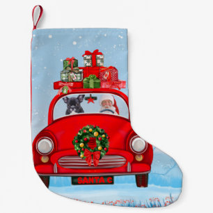 Französischer Bulldog in Auto mit dem Weihnachtsma Kleiner Weihnachtsstrumpf