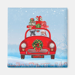 Französischer Bulldog in Auto mit dem Weihnachtsma Magnet