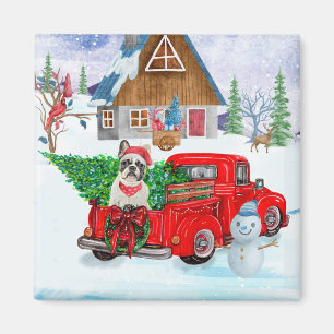 Französischer Bulldog in Christmas Delivery LKW Sc Magnet