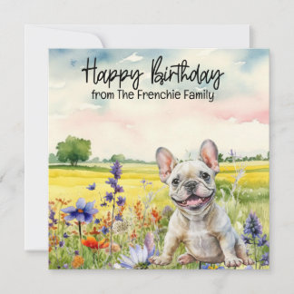 Französischer Bulldog in der Blume Feld Geburtstag