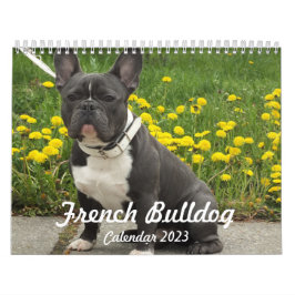 Französischer Bulldog-Kalender 2023 Fotos hinzufüg Kalender