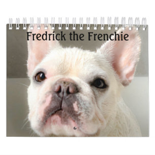 Französischer Bulldog-Kalender - Fredrick the Fre Kalender