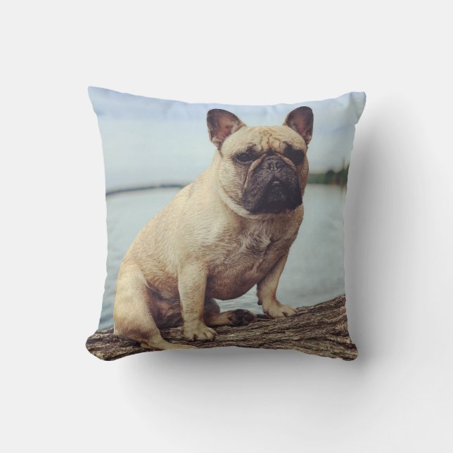 Französischer Bulldog Kissen (Vorderseite)