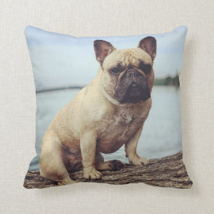 Französischer Bulldog Kissen