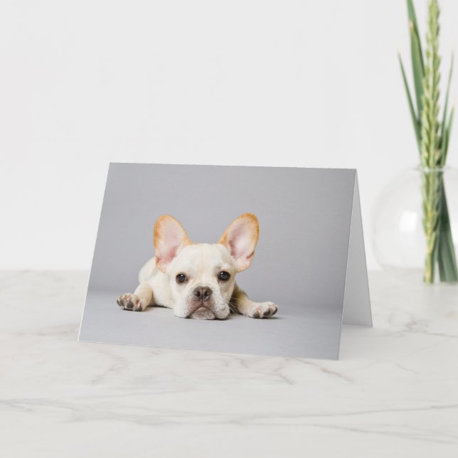 Französischer Bulldog Lächeln Karte (Vorderseite)