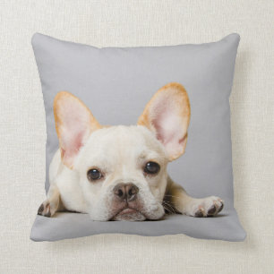 Französischer Bulldog Lächeln Kissen