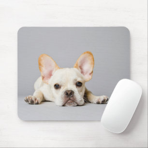 Französischer Bulldog Lächeln Mousepad