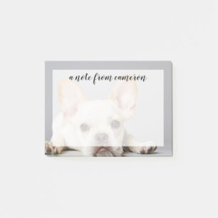 Französischer Bulldog Lächeln Post-it Klebezettel