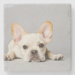 Französischer Bulldog Lächeln Steinuntersetzer