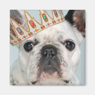 Französischer Bulldog mit Krone Magnet