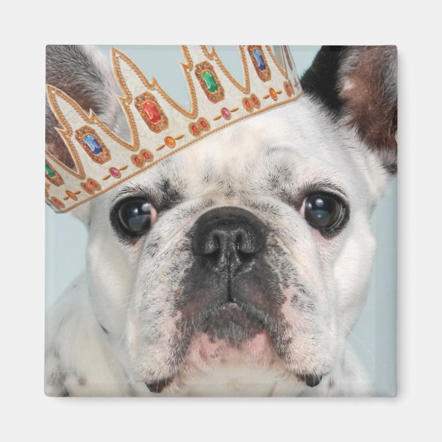 Französischer Bulldog mit Krone Magnet (Vorne)