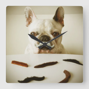 Französischer Bulldog mit Mustache Quadratische Wanduhr