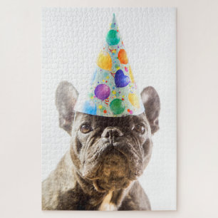 Französischer Bulldog mit Party Hat