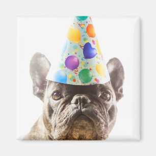 Französischer Bulldog mit Party Hat Magnet