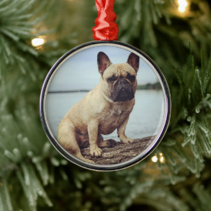 Französischer Bulldog Ornament Aus Metall
