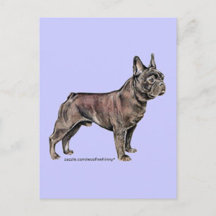 Französischer Bulldog! Postkarte
