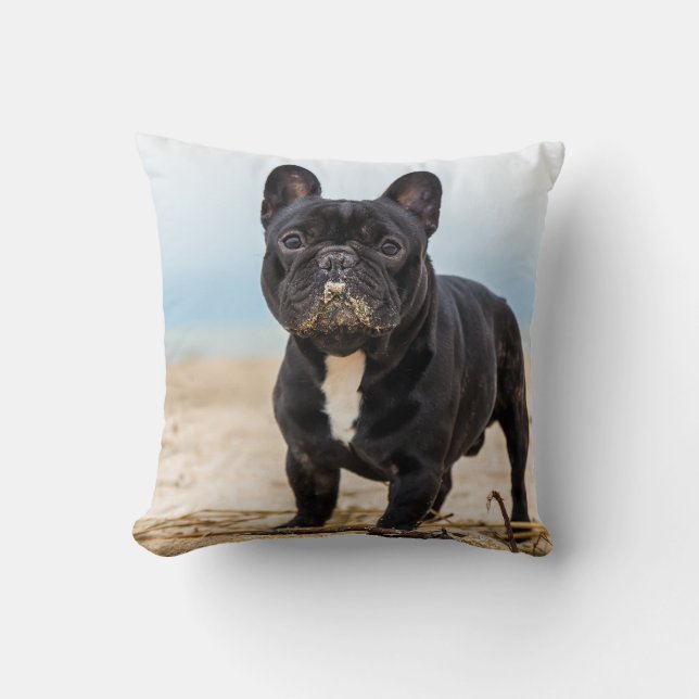 Französischer Bulldog-Spieler im Sand Kissen (Vorderseite)