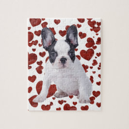 Französischer Bulldog-Welpe